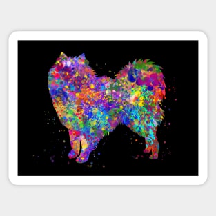 American eskimo dog watercolor Sticker